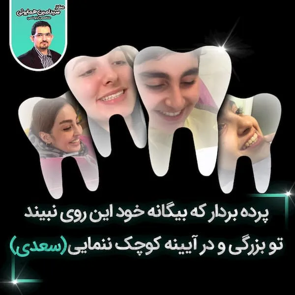 نمونه کارها